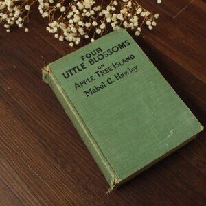 Vintage 1920s Book "Four Little Blossoms on Apple Tree Island" by Mabel C Hawley